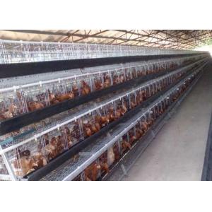 China Poultry Farming Galvanized Battery Layer Chicken Cage 160 Birds supplier