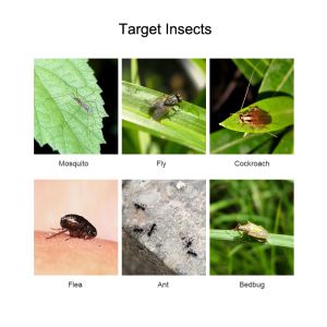 China Pyrethrin Internationally Recognized the Safest Pollution-free Natural Insecticide for Mosquitoes Flies Control wholesale