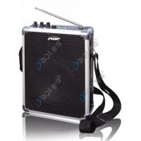China 12v Portable USB Wireless Amplifier for Teaching for sale