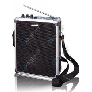 China 12V USB Wireless Portable Public Address Amplfier Systems supplier