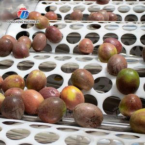 China Tangerine passion fruit avocado cherry Mango pear banana mangosteen kiwi fruit Inspecting Grading Transporting processing production Fruit and vegetable sorting machine wholesale