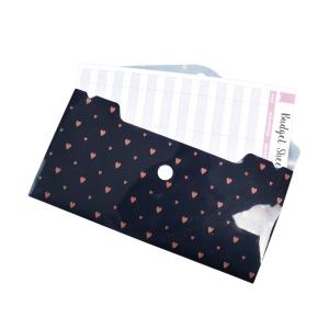 China Custom Printing Wallet Envelope for Budget Planning and Secure Cash Handling wholesale
