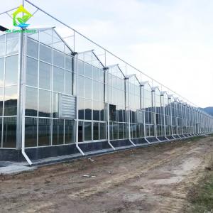 OEM ODM Safety 5mm Tempered Glass For Greenhouse Wall Covering