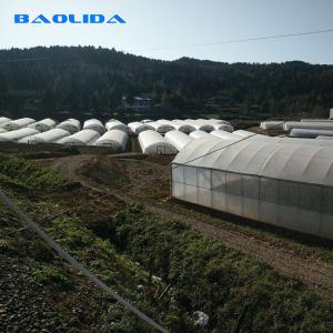 Clear Plastic Film Polyethylene Steel Frame Greenhouse With Irrgation System