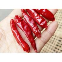China 10% Moisture Stemless Dried Sichuan Chilli Whole Pods In 10KG Pack on sale