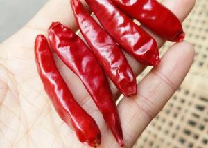 China 10% moisture Stemless Dried Sichuan Chilli whole pods in 10KG pack on sale 