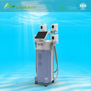 China Fat freezing cryolipolysis Machine / 2015 new weight loss machine / slimming machine supplier