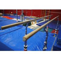 China FIG Approval dip bar exercises  PARALLEL BARS Gymnastics FOR YOUTH TRAINING on sale
