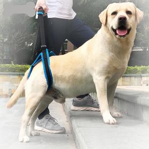 Nylon Pet Leg Support Belt Rear Leg Disability Injury High Aged Dog Stair Auxiliary