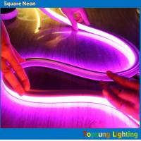 China high quality led light 240v pink square 16*16m led neon flex rope on sale