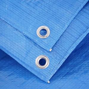 China Heavy Weight PE Tarpaulin Fabric Tarp With Eyelets Blue Dust Resistant Boat Cover supplier