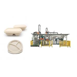 China Fully Automatic Wood Pulp Food Serving Tray Production Line supplier