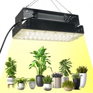 100w Indoor 5x5 Grow Light For Indoor Garden Succulents Plants SMD3030