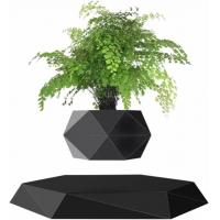 China Black Hexagon Magnetic Levitation Plant Levitating Air Bonsai Pot 360 Degree Rotation on sale