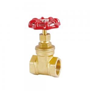 China Antiwear Pegler Type 1 Inch Brass Gate Valve Water Gate Valve supplier