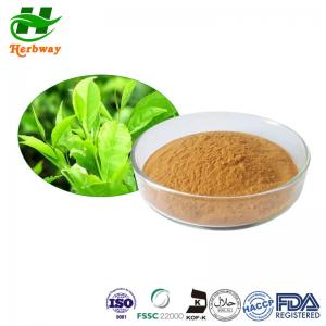 50% EGCG Green Tea Leaf Extract Powder For Reducing Blood Lipid