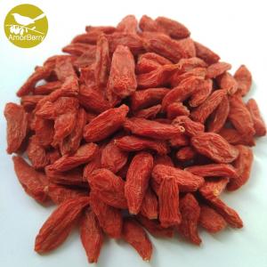 Amorberry China NingXia dried Goji berry Chinese Organic Sweet taste and Dried Style Goji Berries