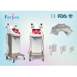 China Freezing fat cells best cooling system Cryolipolysis Slimming Machine FMC-I Fat Freezing Machine supplier