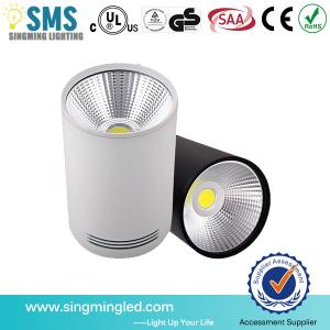 China New design 15w surface mount LED downlight cob 85-265V ceiling downlight supplier
