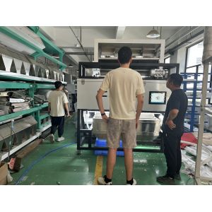 China Optical WYDB4 Soapberry Color Sorting Machine for Soup Pods Color Separator Machine With High Sorting Capacity wholesale