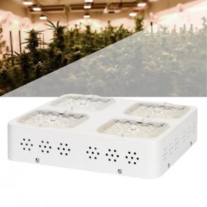 CREE COB And EPI LEDs High PAR LED Grow Light Panel 280*280*60mm Measurement