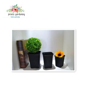 China Outdoor Garden Plant Accessories , Square Plastic Flower pots supplier