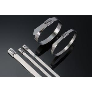 China Heavy Duty Stainless Steel Cable Ties Self Locking 10 Inch Zip Ties 50pcs / Pkt supplier