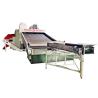High Efficiency Chili Continuous Belt Dryer Large Scale Production
