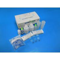 China Wright Stain Sperm DNA Fragmentation Test Validated Reagent Kit 40 Tests/Kit on sale