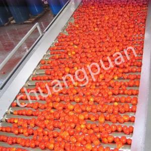 Customized Tomato Paste Production Line with Automatic Packaging System and PLC Control