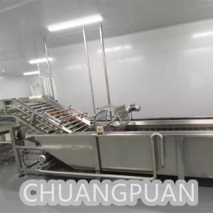 250-1000ML Bottle  Coconut Processing Machine Stainless Steel