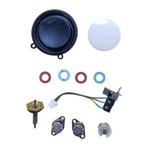 China Flue Gas Water Heater Repair Kit Thermostat Microswitch Sensor and Valve Included wholesale