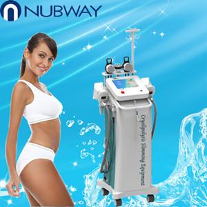 China 5 handles RFcryolipolysis slimming machine beauty equipment for beauty clinic supplier