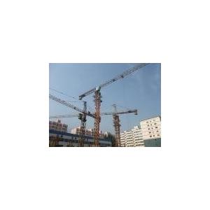 China Construction Tower Crane (TC5811) 58 m Jib length, 1.1t Rated load Luffing Crane supplier