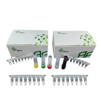 China Influenza B Virus Isothermal NFO Bacteria Detection Kit With 5-20mins on sale