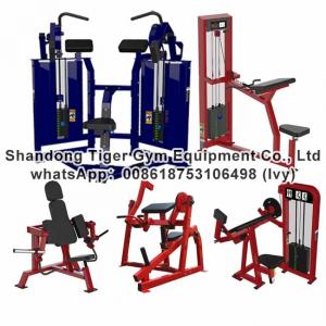 Gym Fitness Equipment Iso-lateral biceps machine / Seated Biceps /Biceps Curl exercise machine