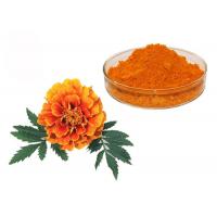 China Natural Pigment Xanthophyll Marigold Flower Herbal Extract Powder on sale