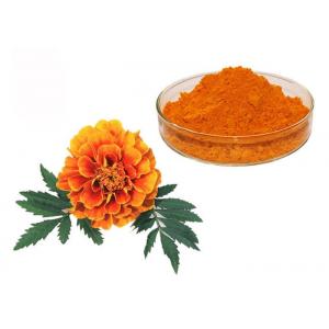 Natural Pigment Xanthophyll Marigold Flower Herbal Extract Powder