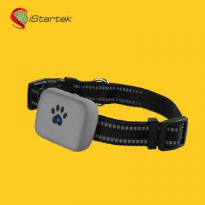 China Small chip wifi pet dog personal belt devices gps tracking for people and cows with app supplier