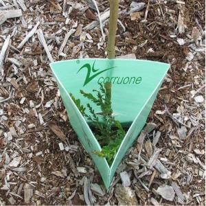 Flat Surface Corrugated Plastic Tree Guard in Customized Colour for Plant Protection