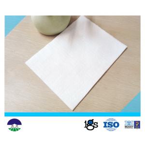 China Non Woven Geotextile Drainage Fabric Flexible For Power Plant PET 250GSM supplier