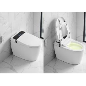 Floor Mounted Bathroom Toilet Bowl 220V / 110V Smart Bidet Toilet Sanitary