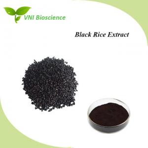 Antioxidant Plant Herbal Extract Seed Black Rice Extract Powder Halal Certified