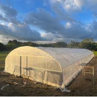 China Custom Tunnel Greenhouse 8x30m Agricultural Greenhouse Kit For Planting on sale
