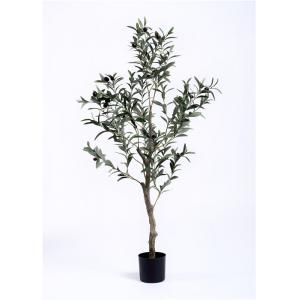 Hand Crafted Olive Tree Bonsai Indoor Indoor Decoration Bright Spot Color Change