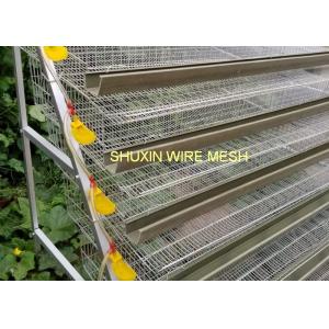 Commercial Auto Water Laying Bird Egg Quail Farm Cage , Wire Quail Cages