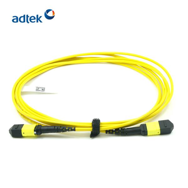 2.0mm FTTX MPO MTP Patch Cord Single mode Multi mode for Data Center Solution