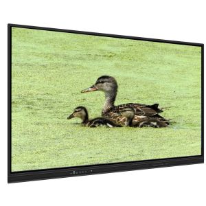 China All In One Interactive Whiteboard 65 Inch Android 14 15 8+128G Teaching Meeting Software 50 Touch Points Light Sensor Speakers App Store Built-in For Education Teaching Online Meetings wholesale