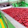Китайская технологическая линия фруктового сока даты, завод по обработке пульпы