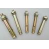 Flange Nut Head Grade 5.8 M10 Sleeve Anchor Bolts concrete sleeve anchor bolts